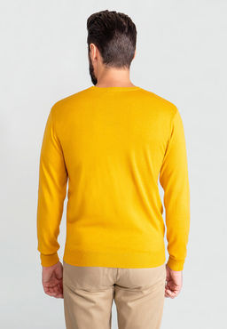 Джемпер мужской GREG G121-AC023 (горчица)  фото 2