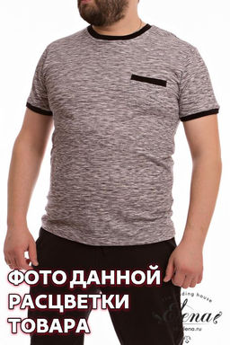 Футболка мужская