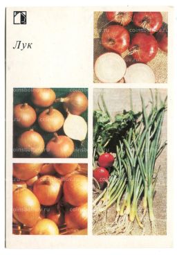 Открытка Лук