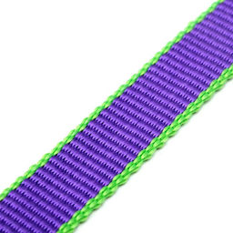 Ошейник капроновый, фастекс с замком, 50 х 2 см, ОШ до 50 см, фиолетовый с зелёным - Пижон фото 4