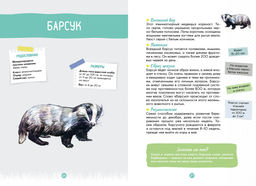 Лесные животные. Жапьо Ксавье - Махаон фото 5