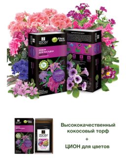 ZION Цион Набор для посадки цветов