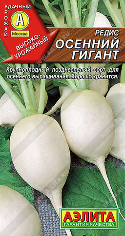 0794A Редис Осенний гигант 2гр
