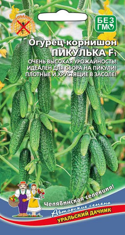 Огурец ПИКУЛЬКА F1  Челябинская селекция!