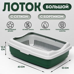 Лоток большой с сеткой и бортиком Atlantis «Стандарт», 43×33×12.5 см, зеленый