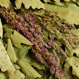 Веник для бани, дубовый, 55 см, с шалфеем, «Добропаровъ»