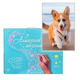 Алмазная мозаика 17х22 "Корги на пляже" с подр., с полным заполн. (20цв) (блест.)