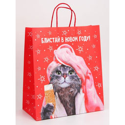 Набор пакетов новогодних крафтовых 5 штук «С Новым годом тебя!», 21 × 12 × 9 см