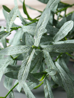 Цветы искусственные «Эстрагон», h=85 см, зелёные