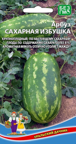 Арбуз САХАРНАЯ ИЗБУШКА  Крупноплодный, по-настоящему сахарный сорт! Ароматная мякоть отлично удаляет жажду!