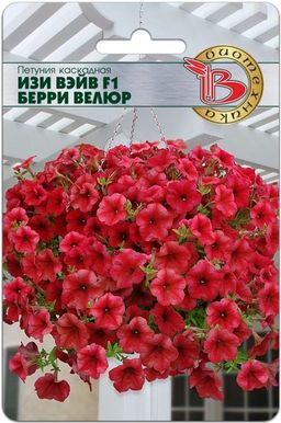 Петуния каскадная Изи Вэйв F1 Бургунди Велюр - Биотехника фото 4