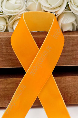 Лента бархатная 2,5 см*20 ярд (SF-2322), оранжевый №35