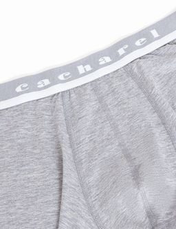Серые боксеры - Cacharel фото 3