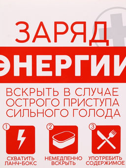 Ланч - бокс «Заряд энергии», 1200 мл