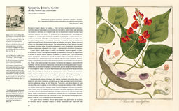 Выдающиеся растения, которые изменили нашу жизнь. Байнум Х., Байнум У.