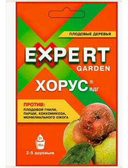 ЭГ Хорус ВДГ 2 гр