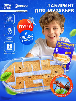 Набор для опытов Лабиринт для муравьёв - Эврики фото 12