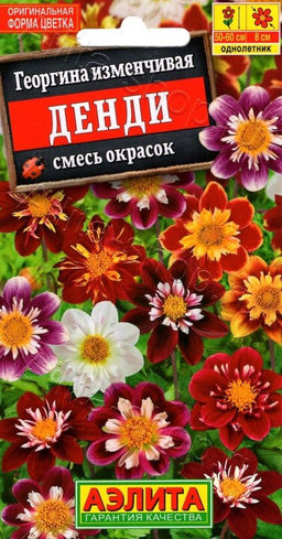 Георгина воротничковая Денди, смесь 0,3г (Аэлита)