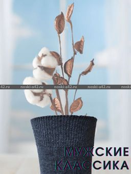 Цена за 10 пар. Легион носки мужские синие 29  фото 44