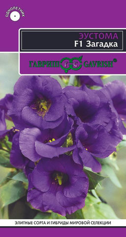 Загадка голубая F1 эустома 5 шт (г)