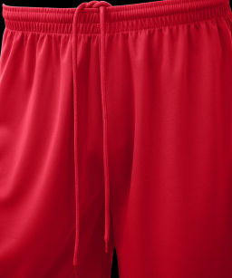 Шорты баскетбольные JOGEL CAMP Basic, красный  фото 4