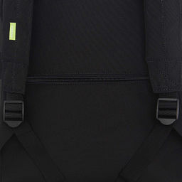 RQL-617-5 Рюкзак - Grizzly фото 33