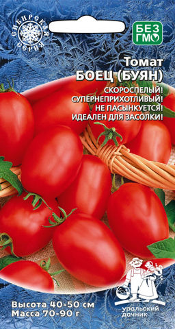 Томат БОЕЦ (БУЯН) Суперскороспелый гость из Новосибирска! Неприхотлив! Без пасынкования! Идеален для засолки!
