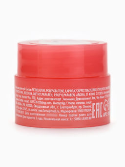 Бальзамы для губ, набор 4 шт. × 3 г, URAL LAB