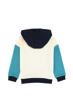Erkek _ocuk Mint Kap__onlu Sweatshirt - U.s. polo assn фото 2