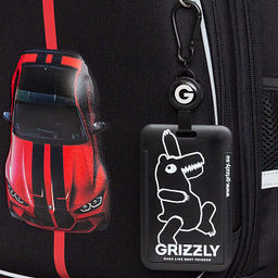 RAz-687-1 Рюкзак школьный с картхолдером на держателе - Grizzly фото 37