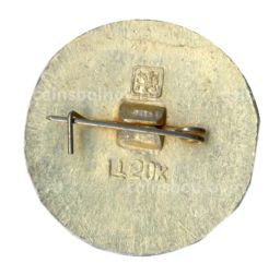 Значок Золотое кольцо Кинешма