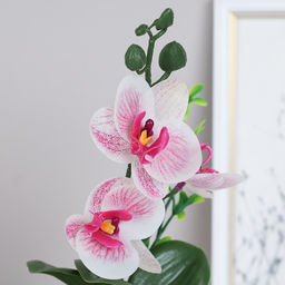 Цветочная композиция Орхидея 24 см / FH467A /уп 24/144/без индивидуальной упаковки - Галеонтрейд фото 15
