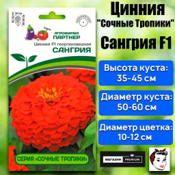 Цинния георгиновидная Сочные тропики Сангрия - Партнер фото 2