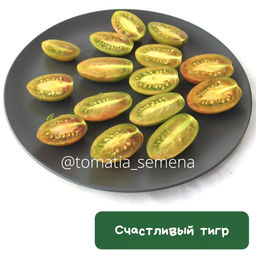 Cчастливый тигр