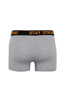 Комплект боксеров стандартной посадки (3 шт.) - Defacto фото 8