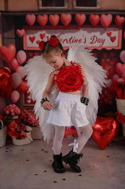 Ш79-Д Шорты Адель