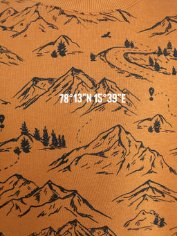 Комплект для мальчиков (джемпер, брюки) коричневый с принтом горы - Mark formelle фото 4