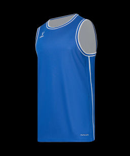 Майка двухсторонняя JOGEL DIVISION PerFormDRY Double-Side Jersey, синий/белый