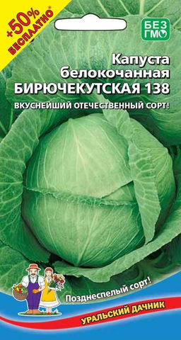 Капуста БИРЮЧЕКУТСКАЯ 138, серия +50% БЕСПЛАТНО! Вкуснейший отечественный сорт! - Уральский дачник фото 2