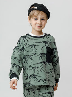 КР 302773/хаки 5107 Н029 к612 джемпер (свитшот) для мал