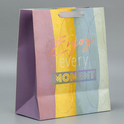 Пакет подарочный ламинированный, упаковка, тиснение, «Лови момент», 25×30.5×12.5 см