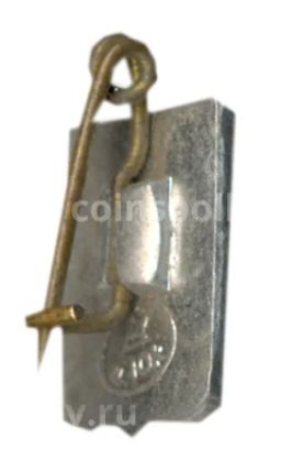 Значок Зубр