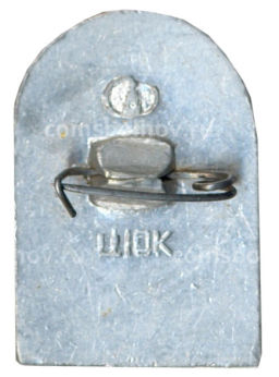 Значок Звенигород Красная башня