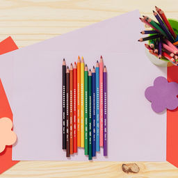 Карандаши цветные 12 цветов BIC Kids Evolution ECOlutions, детские, ударопрочные, пластиковые