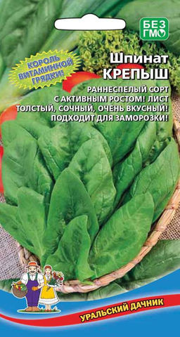 Шпинат КРЕПЫШ  Будешь крепок и здоров! Невероятно много белка и витаминов! Два урожая за сезон! Идеален для диетического питания и замораживания!