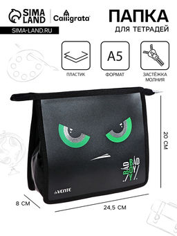 Папка для тетрадей А5, 243×200×80 мм, deVENTE Bad Boy, молния сверху, пластиковая, для мальчика