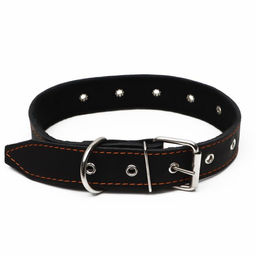 Ошейник кожаный на синтепоне, безразмерный, 71 х 3,5 см, ОШ 29-62 см, чёрный - Пижон фото 2