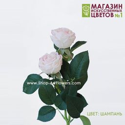 075 Роза двойная пионовидная - Без тм фото 4