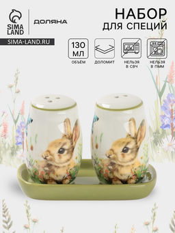 Набор для специй Доляна «Зайка», 2 предмета: солонка, перечница 130 мл, 11.5×6.2×8.8 см, доломит, белый