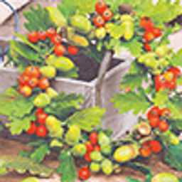 Love2art Салфетки бумажные ассорти SDP №0419-13 33 x 33 6 шт. Красавица осень!